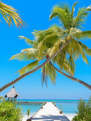 Luxurious exotic holiday destination with turquoise waters and vibrant cultural experiences – JSBT Holidays