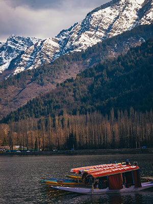 Cultural landmarks and natural beauty representing diverse Indian regions – JSBT Holidays