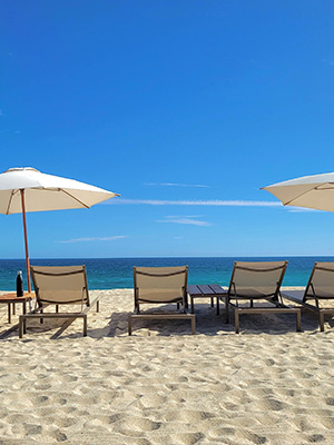 Relaxing beach holiday with golden sands, palm trees, and ocean waves – JSBT Holidays