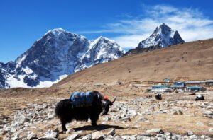 Nepal Tour Package – A Perfect Journey to the Land of Himalayas