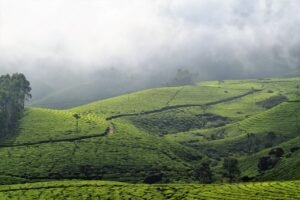 Kerala Tour Package 4 Nights 5 Days – Best Kerala Tour Agency in Dwarka Sector 11