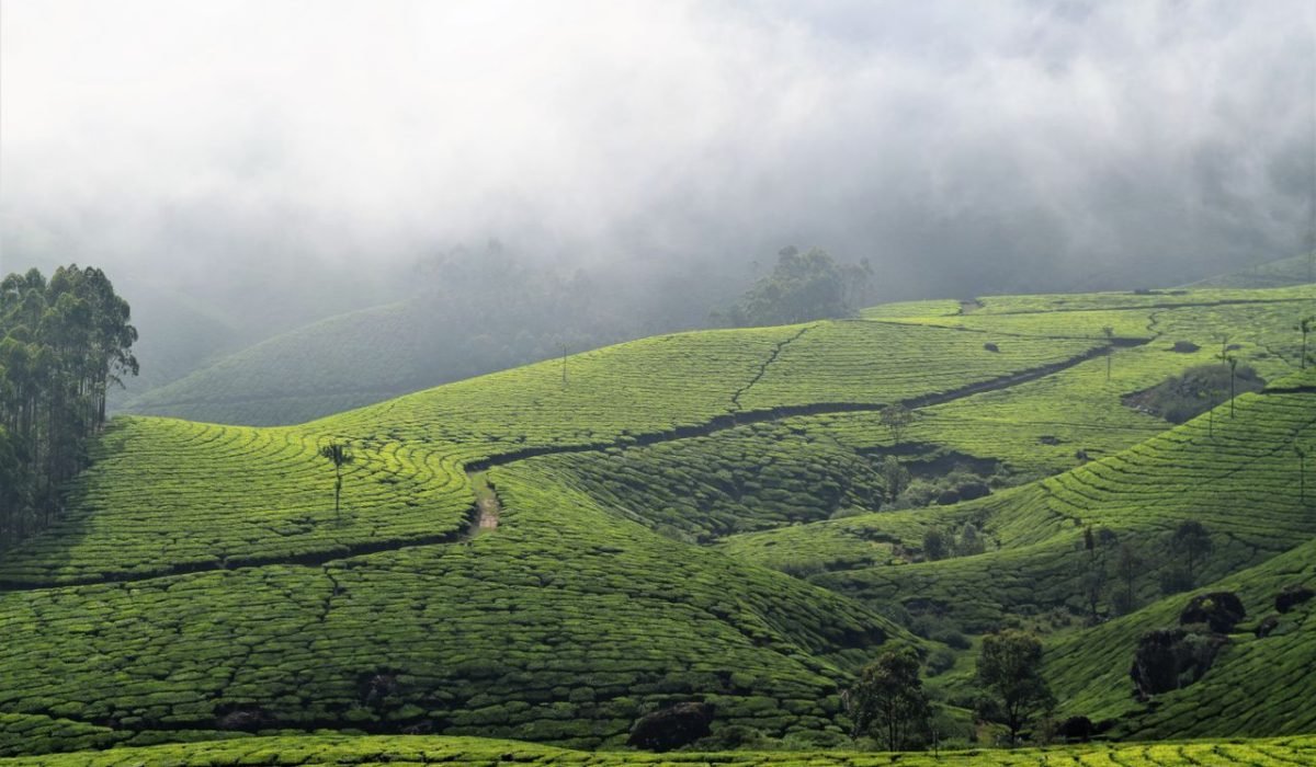 kerala image