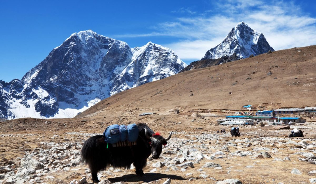 nepal image